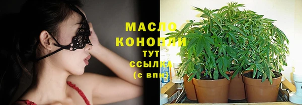 ГАЛЛЮЦИНОГЕННЫЕ ГРИБЫ Богданович