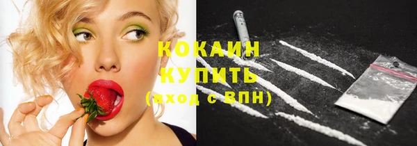 spice Богородск