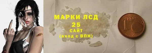 ГАЛЛЮЦИНОГЕННЫЕ ГРИБЫ Богданович