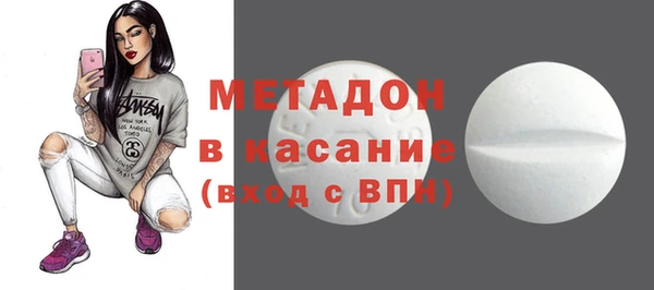 ГАЛЛЮЦИНОГЕННЫЕ ГРИБЫ Богданович