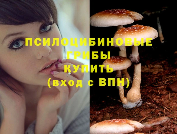 гидра Армянск