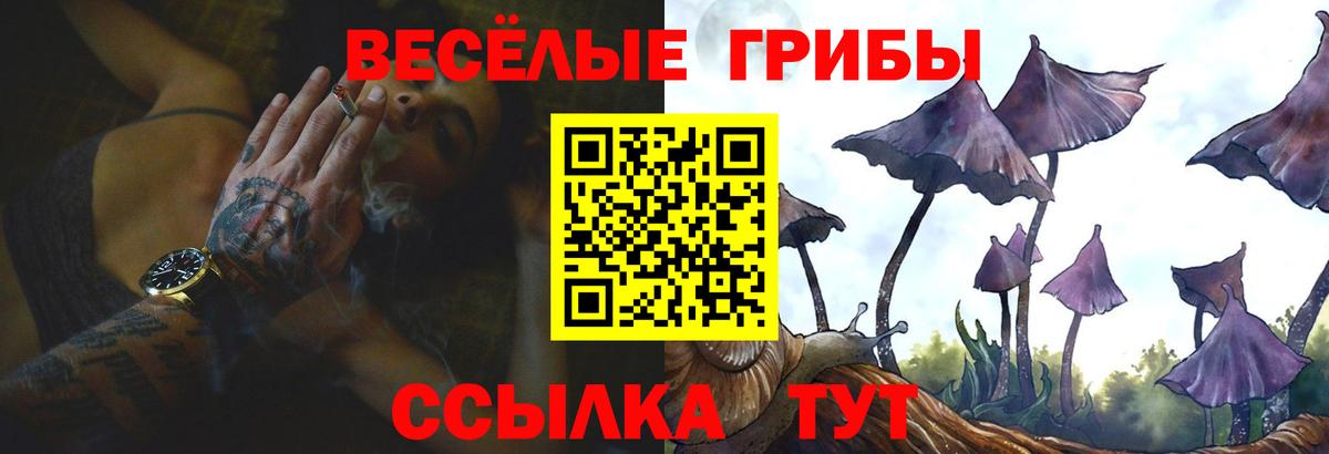 Псилоцибиновые грибы Cubensis Радужный